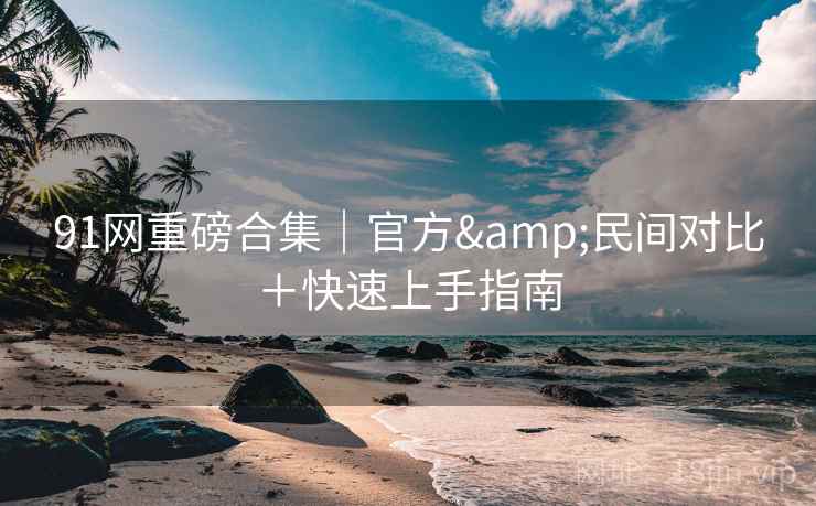91网重磅合集｜官方&民间对比＋快速上手指南