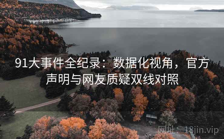 91大事件全纪录：数据化视角，官方声明与网友质疑双线对照